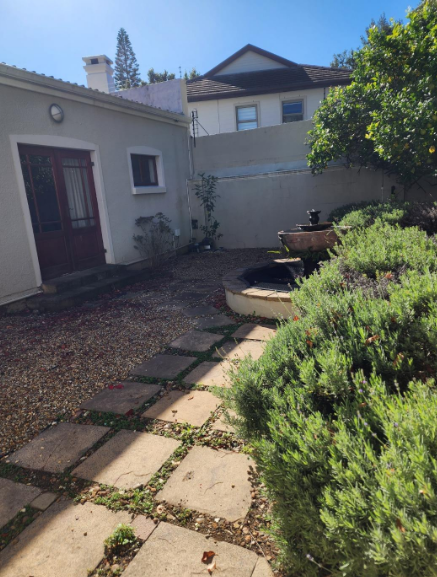 To Let 0 Bedroom Property for Rent in Claremont Upper Western Cape